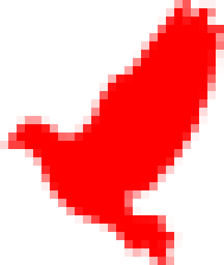 red bird